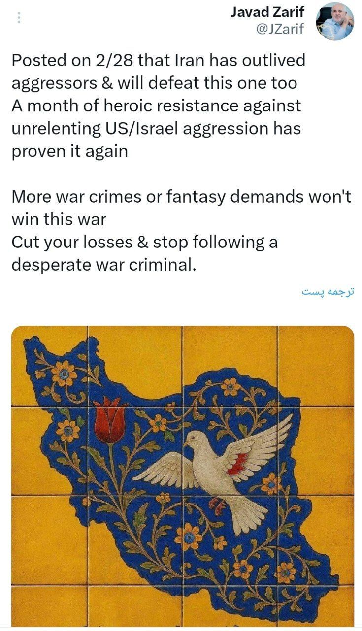 photo_2026-03-31_16-56-43