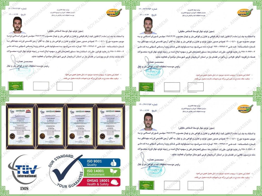 رویال نهال، اولین و تنها عرضه کننده گردوی ژنوتیپ 7 شناسنامه دار در ایران 5