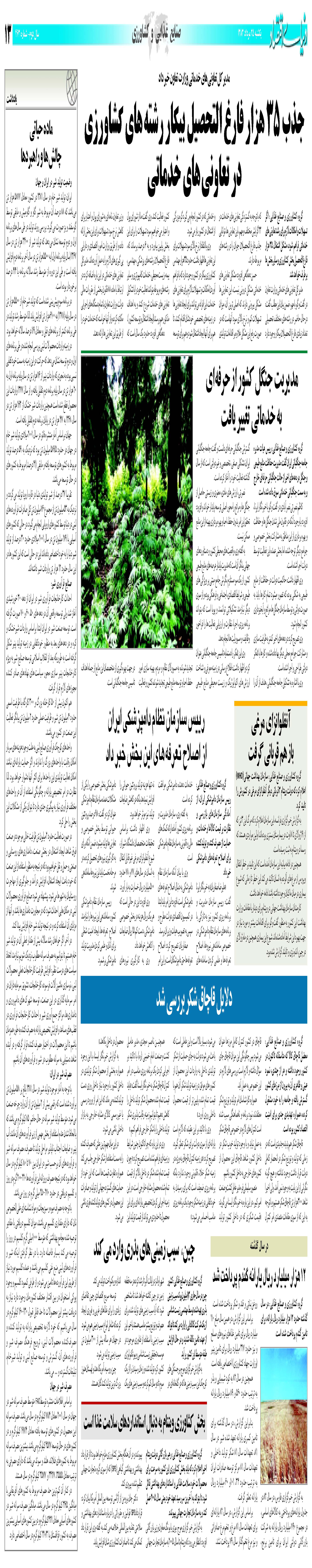 463_Page_13