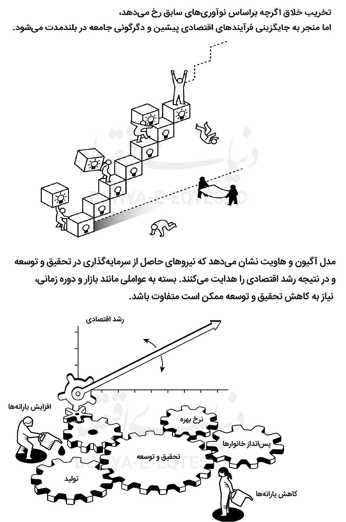 دانش «رشد» نوبل گرفت 3