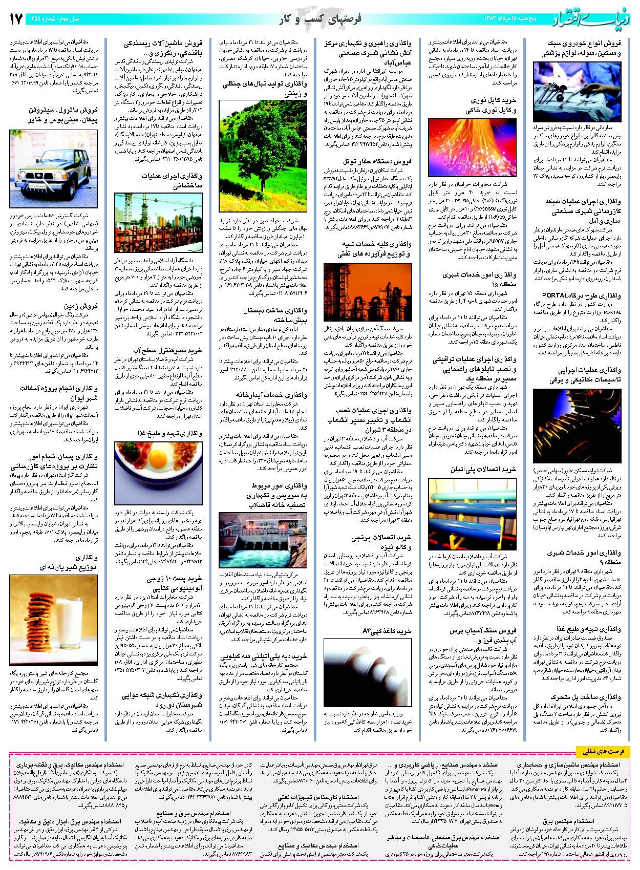 455_Page_17
