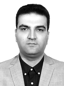 «هانیکو» در مسیر شفافیت 3