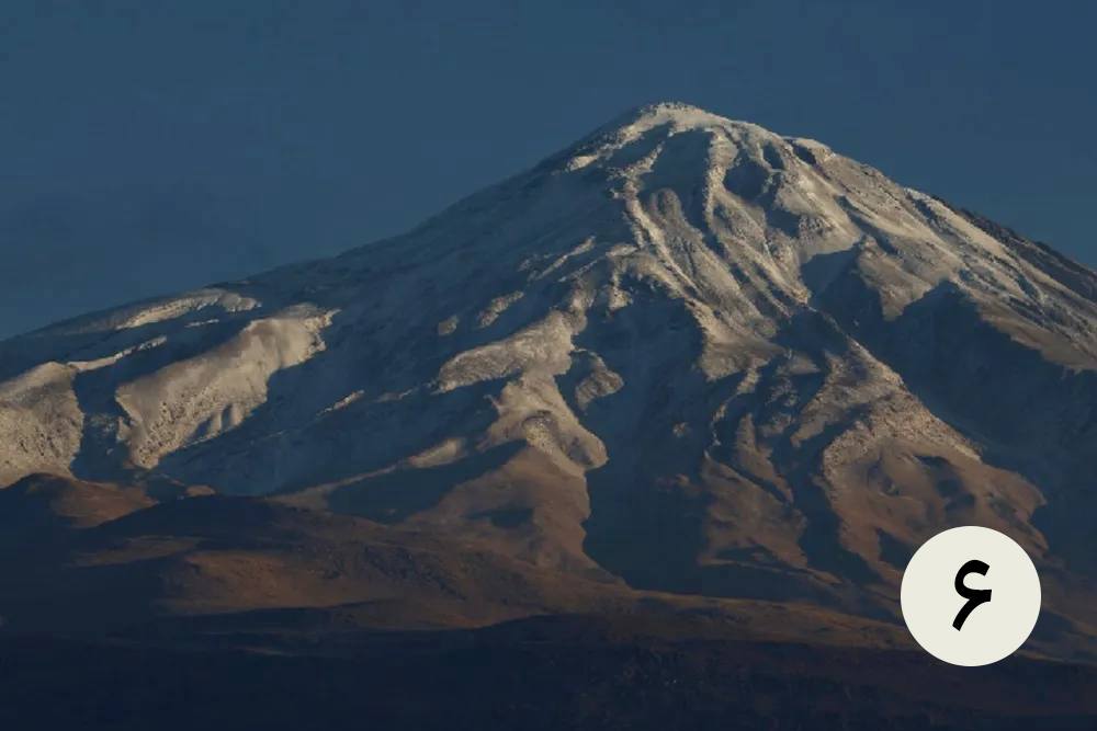 گزارش تصویری