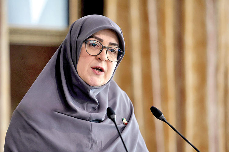 برنامه هفت‌محوری دولت برای مهار تورم