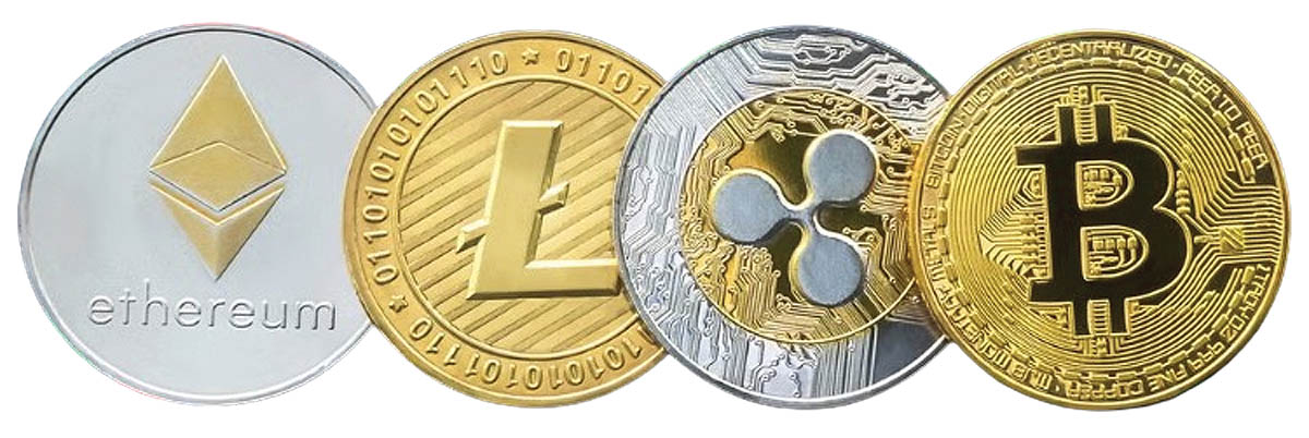 Capture-removebg-preview (2) copy