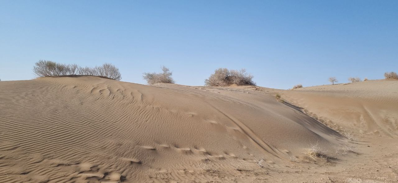 photo_2025-11-06_18-30-00