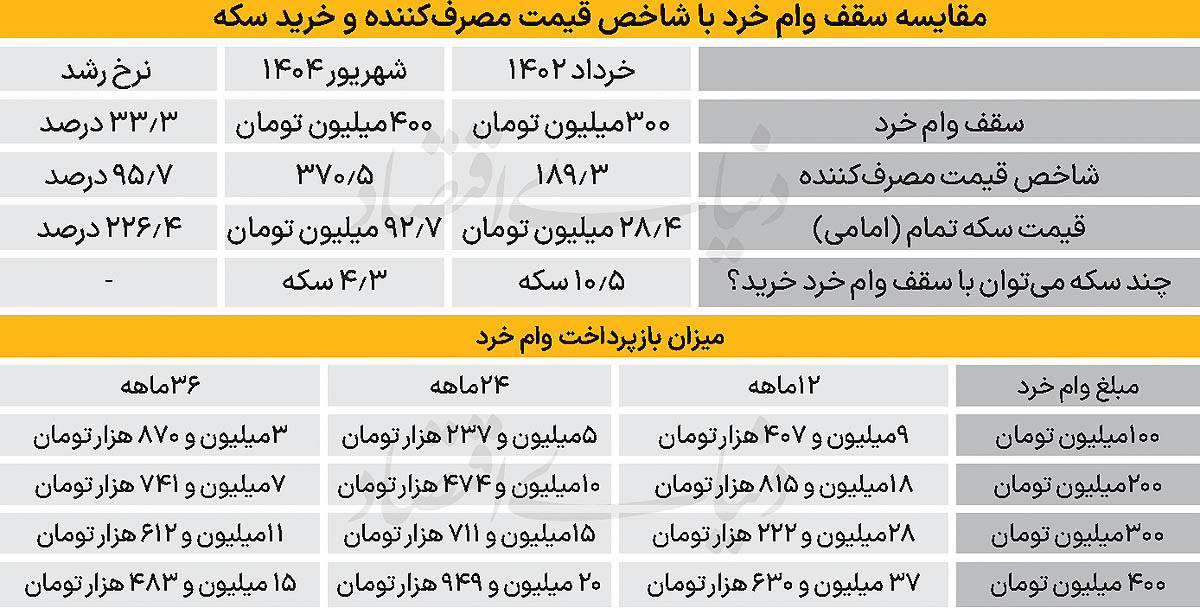 سقف کوتاه تسهیلات خرد 2