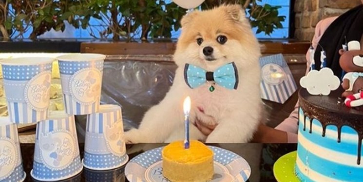 14021110000372_Test_PhotoN