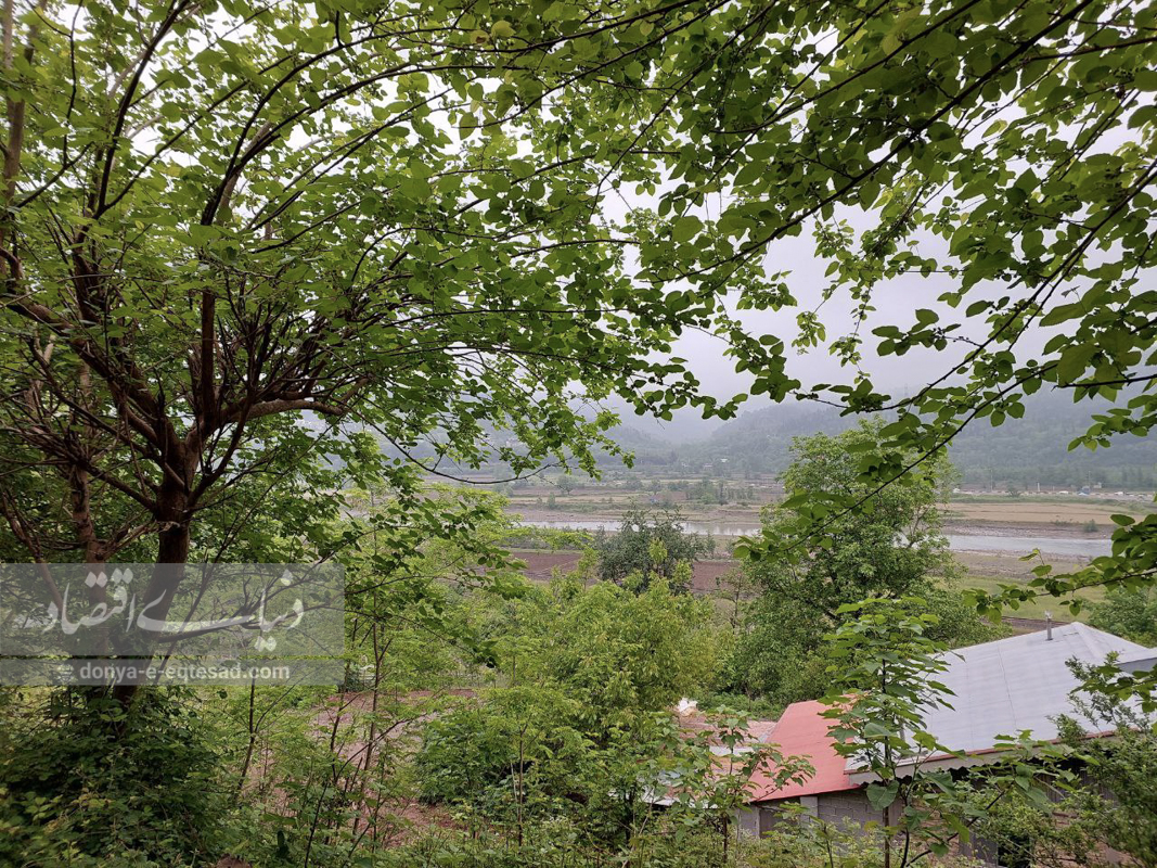 گردشگری