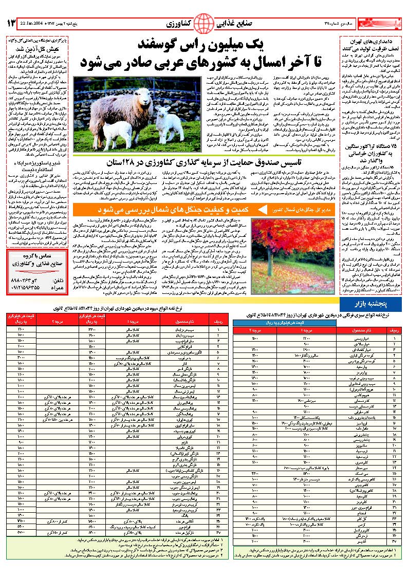 311_Page_13