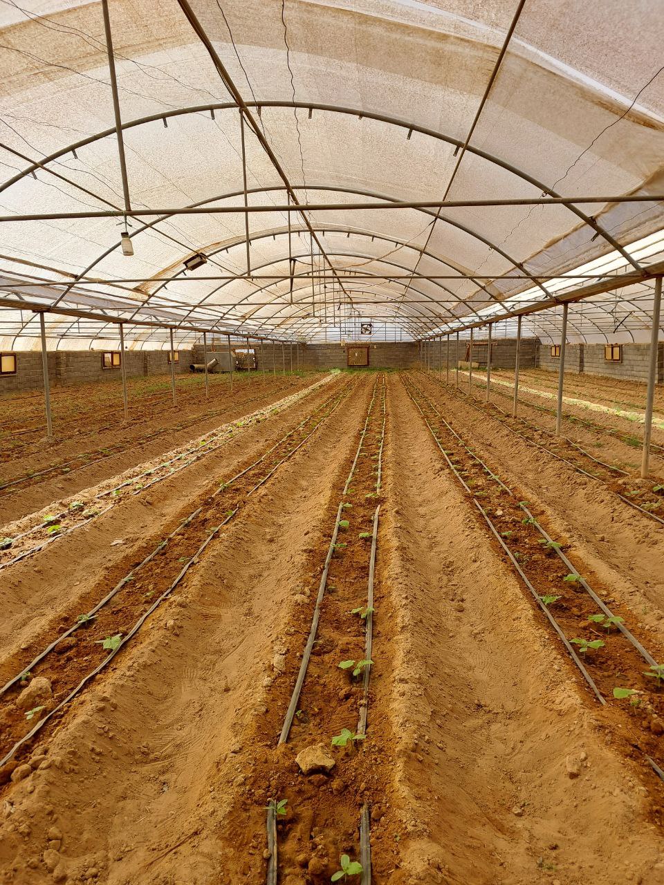 photo_2025-11-06_18-29-52