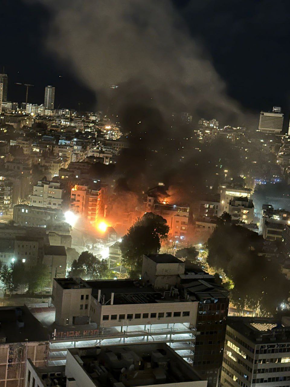 photo_2026-03-01_08-04-28