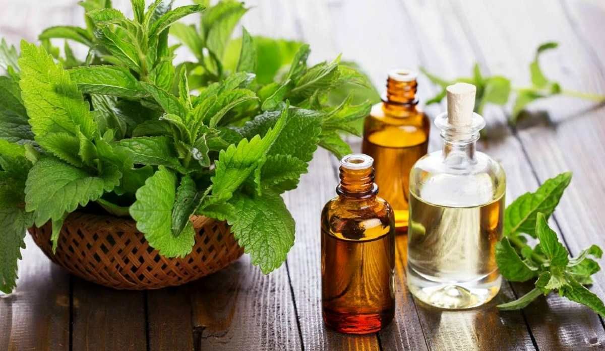 این روغن برای تقویت حافظه معجزه می کند 2