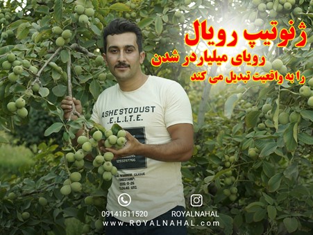 سودآوری تضمینی گردو ژنوتیپ به چند دلیل ویژه و اقناع کننده