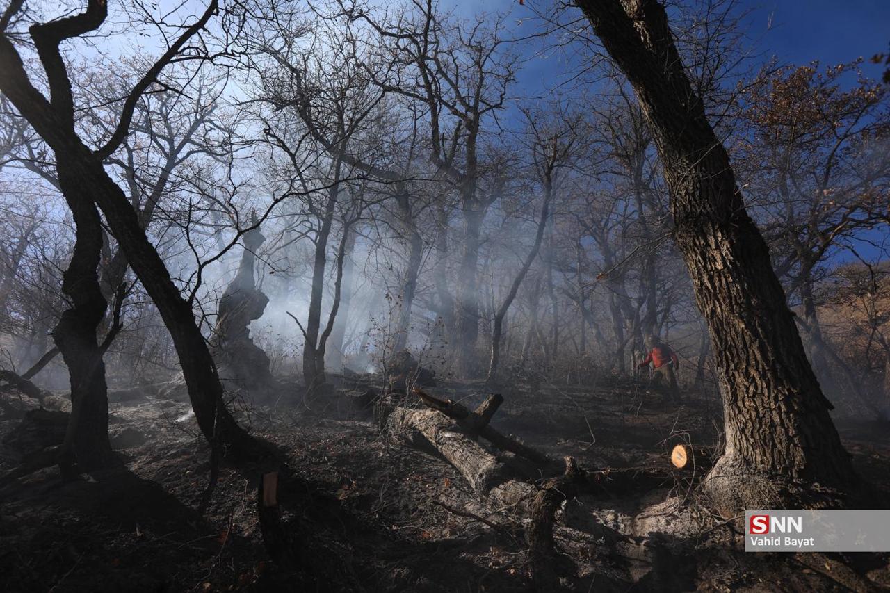 تصاویری هولناک از آتش سوزی جنگل‌های هیرکانی / فرود هواپیماهای اطفاء حریق ترکیه در فرودگاه نوشهر + عکس 6