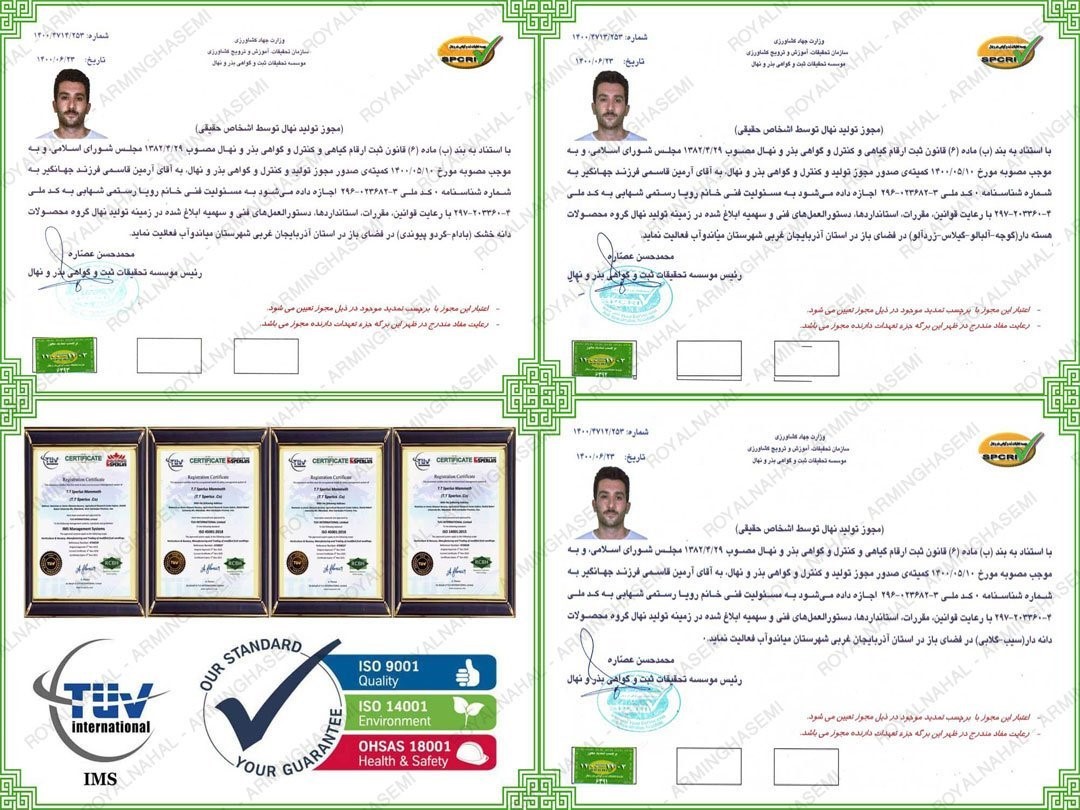 خدمات رویال نهال