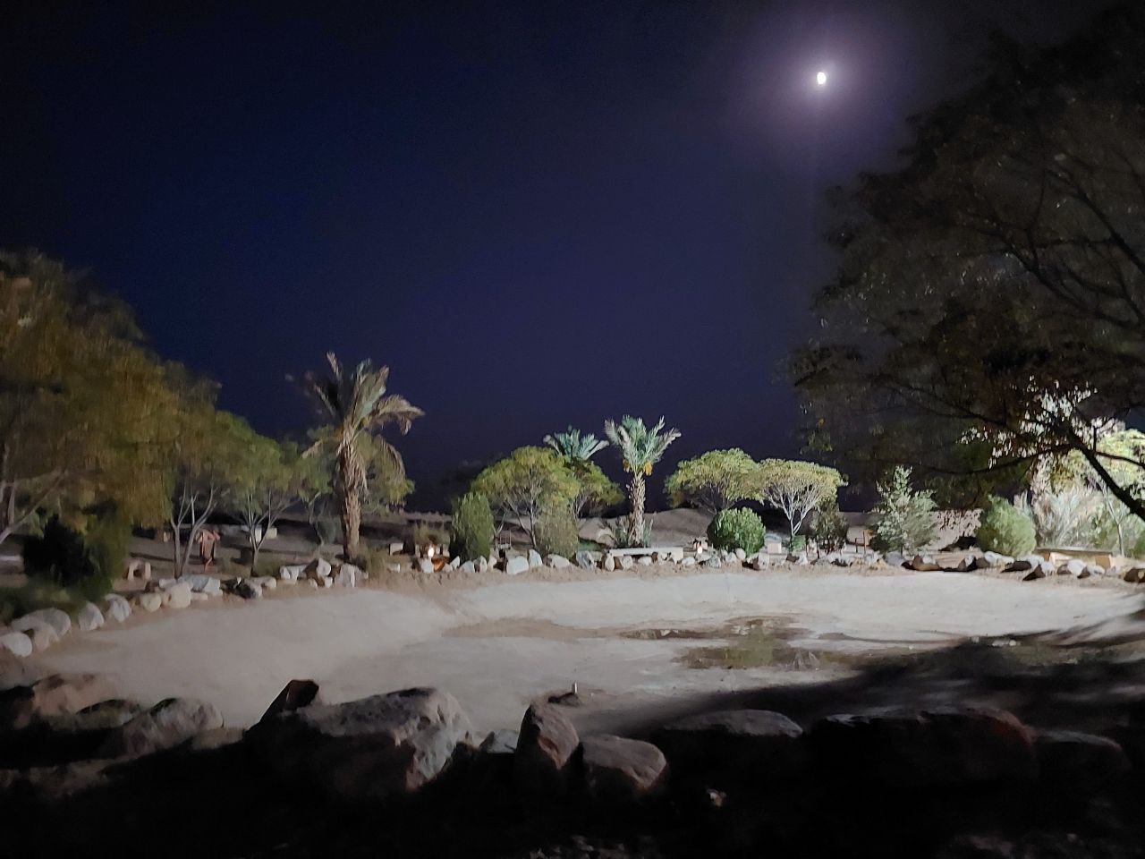 photo_2025-11-06_18-29-55