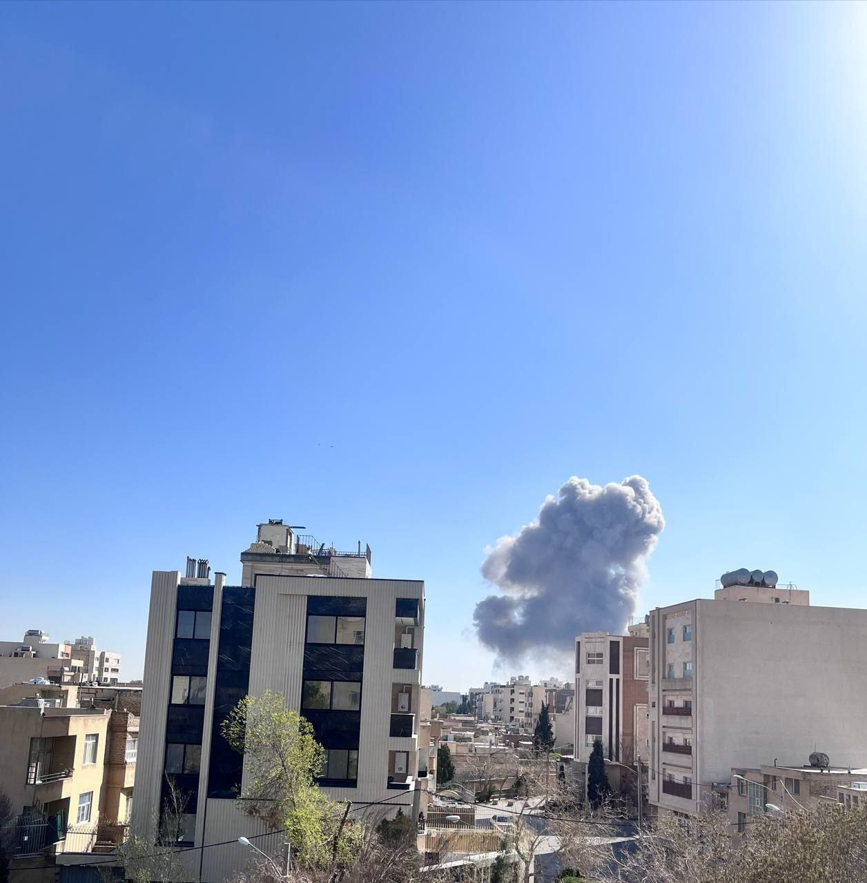 photo_2026-03-03_10-19-36