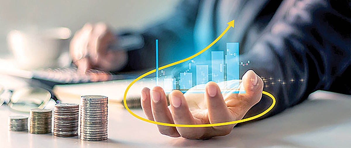 capital-increase+copy copy
