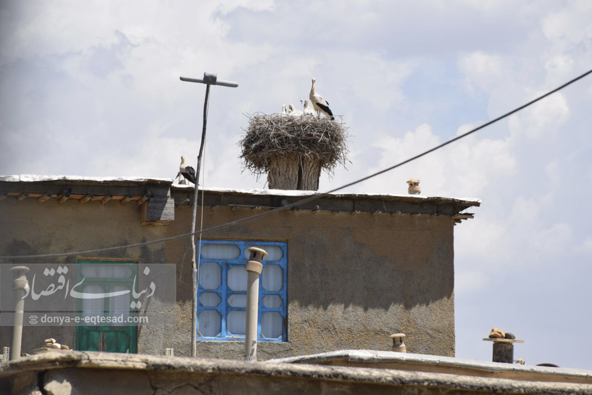 گردشگری