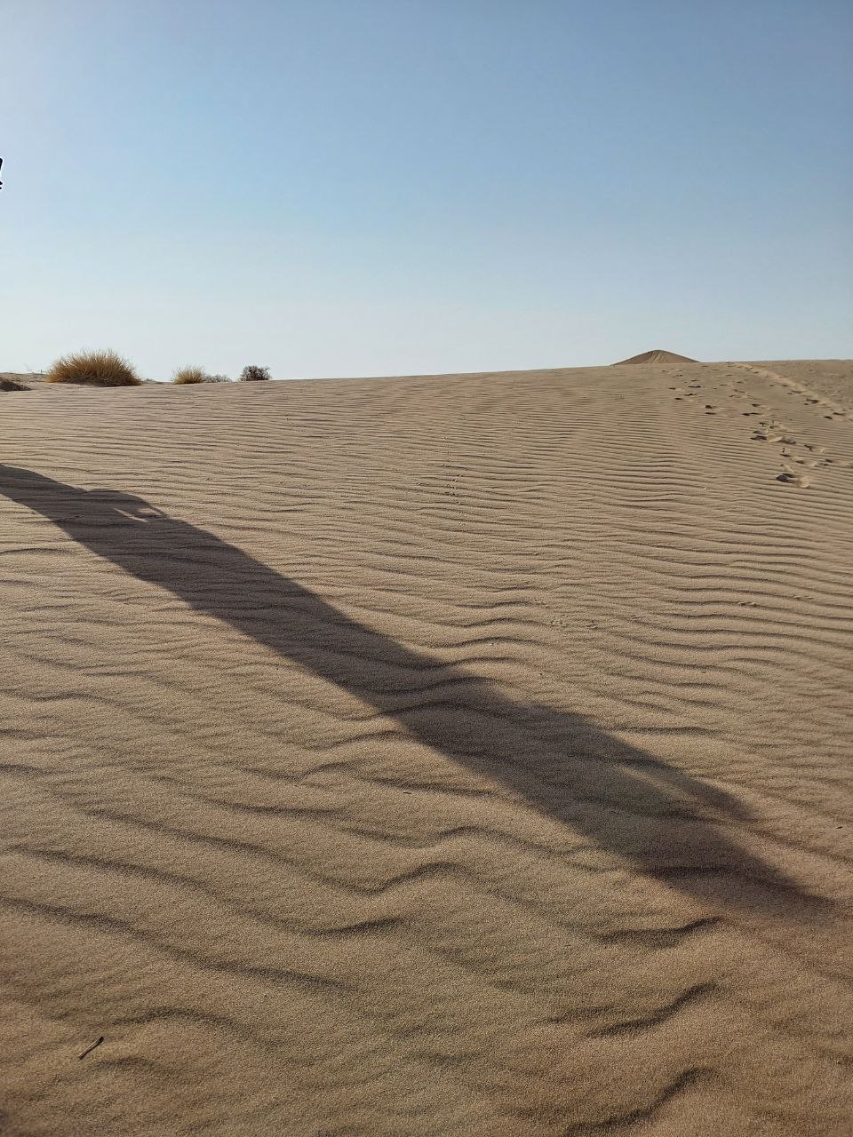 photo_2025-11-06_18-29-57