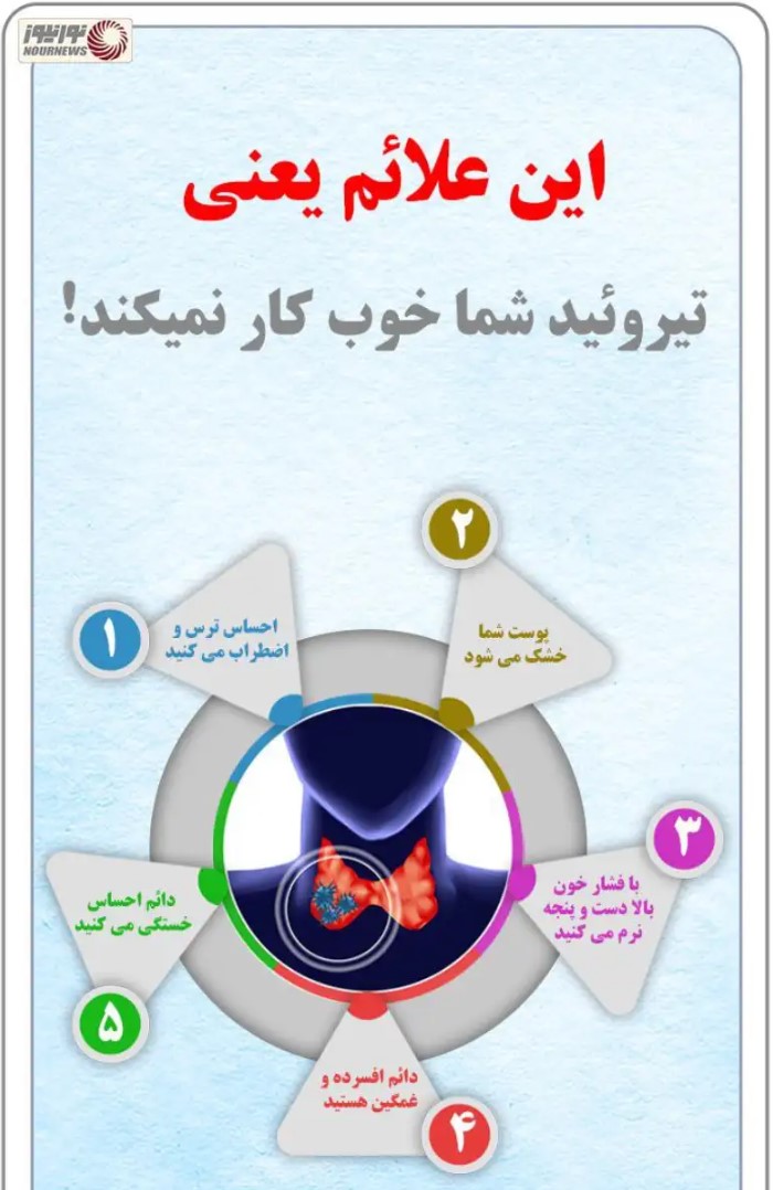 تصویر صفحه 2026-02-10 031951