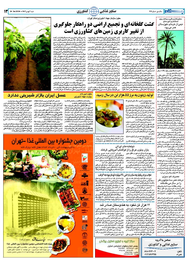 312_Page_13