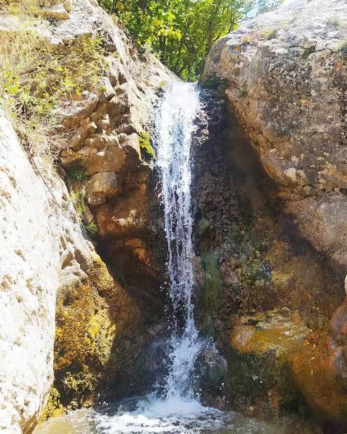 IMG_20251218_123735_186