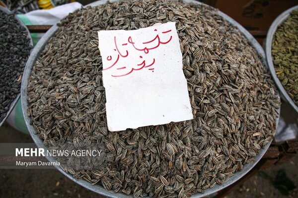 منع صادرات ۱۵ محصول برداشته شد+ جزئیات