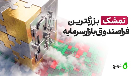 «تمشک» بزرگترین فرا‌صندوق بازار‌سرمایه