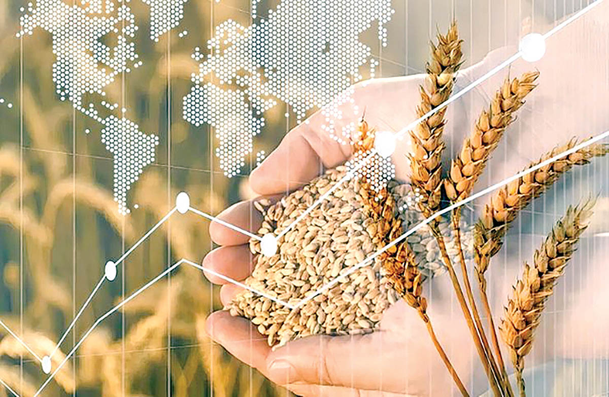 پریمیوم در تجارت جهانی غلات