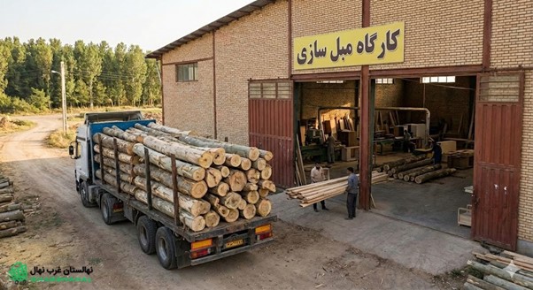 اگر به دنبال ایجاد یک مزرعه صنعتی سودده هستید، نهال صنوبر بهترین نقطه شروع است 3