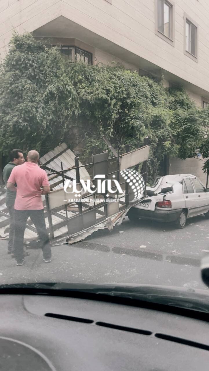 سقوط درخت در خیابان دولت تهران / بلایی که سر پراید آمد + عکس 2