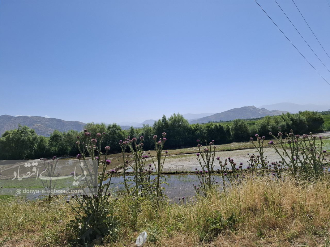 گردشگری