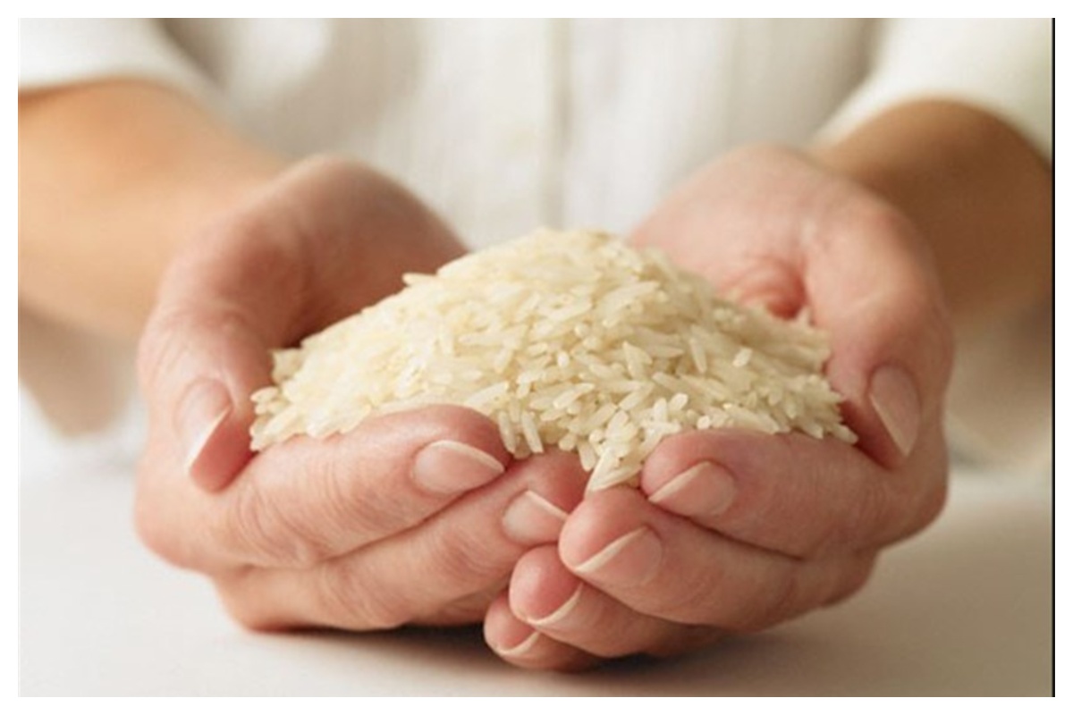 پشت پرده گرانی برنج در ایران/ برنج را از این قیمت گران‌تر نخرید!