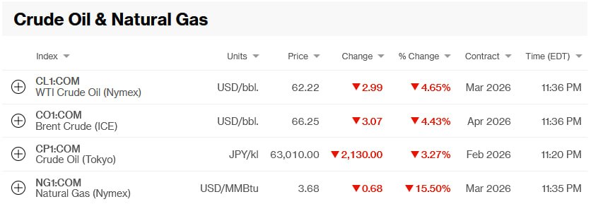photo_2026-02-02_08-25-57
