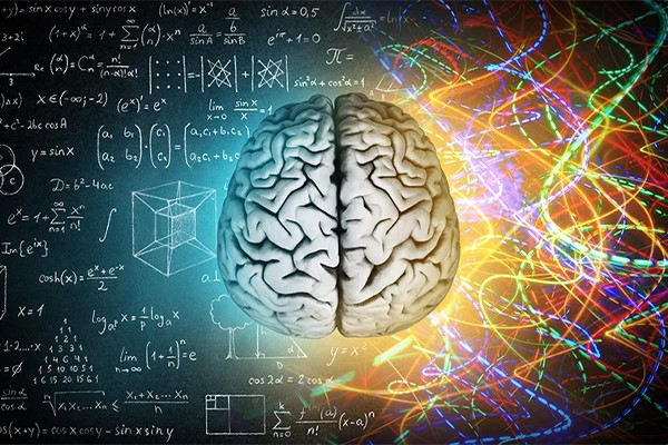 شناخت پنج مولفه هوش هیجانی؛ اولین قدم برای تقویت EQ