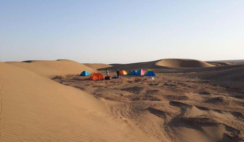 IMG_20251113_150234_567