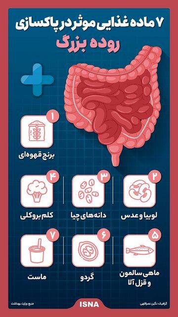 اینفوگرافیک / ۷ ماده غذایی موثر در پاکسازی روده بزرگ