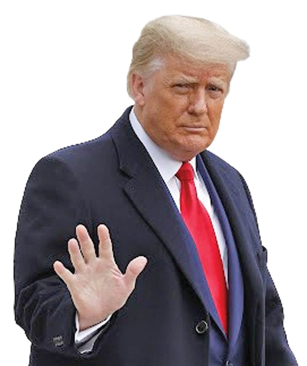 unnamed-removebg-preview copy