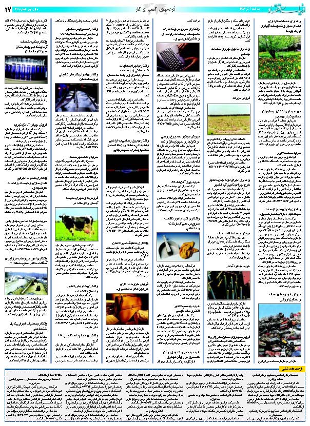 419_Page_17