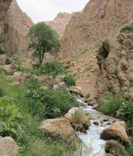سفر یکروزه به بهشت بکر شرق تهران 5