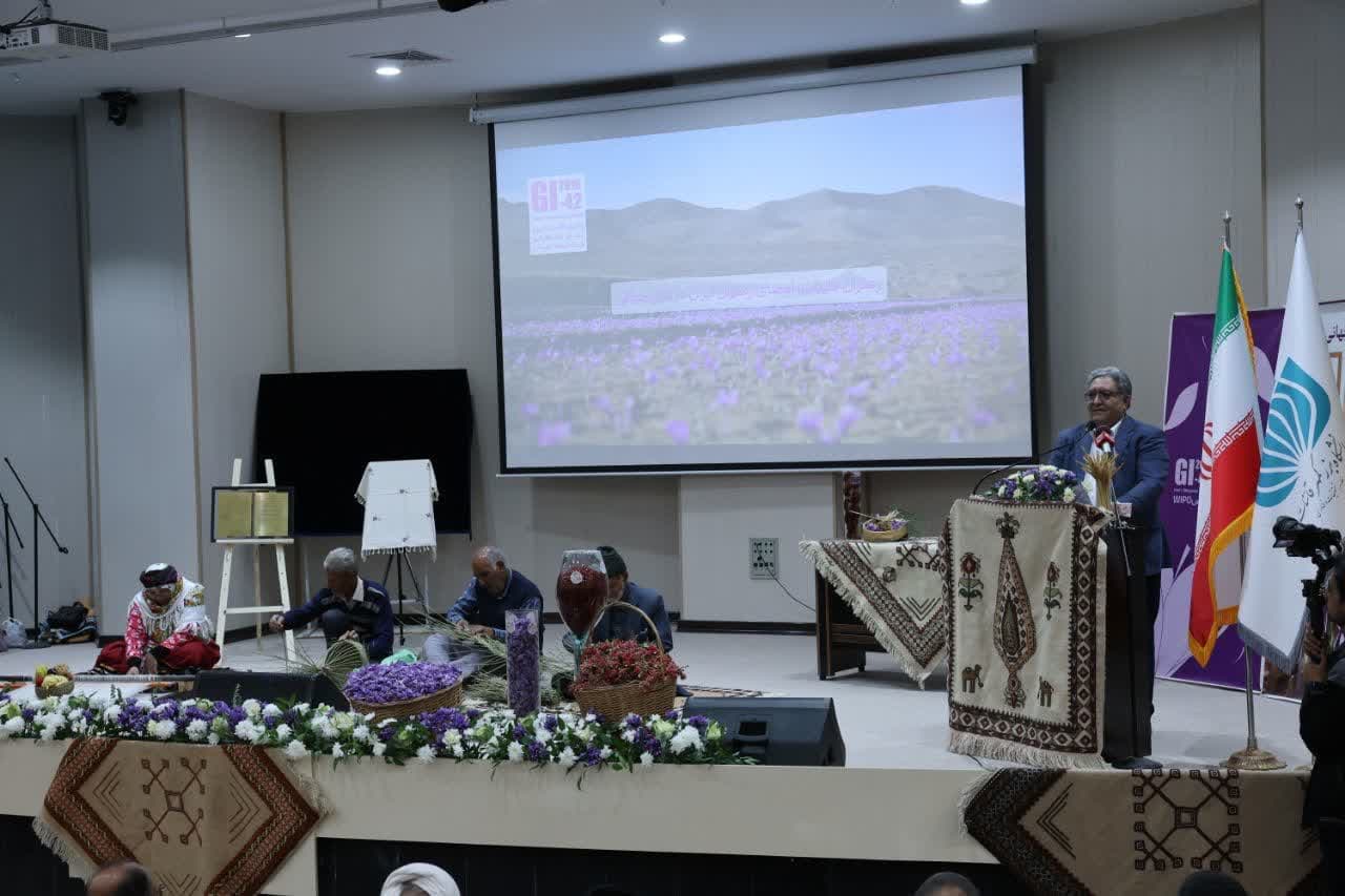 photo_2025-11-14_12-54-07