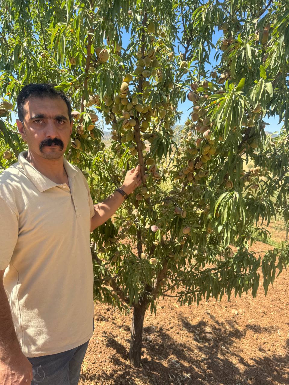 IMG_20251118_143918_924