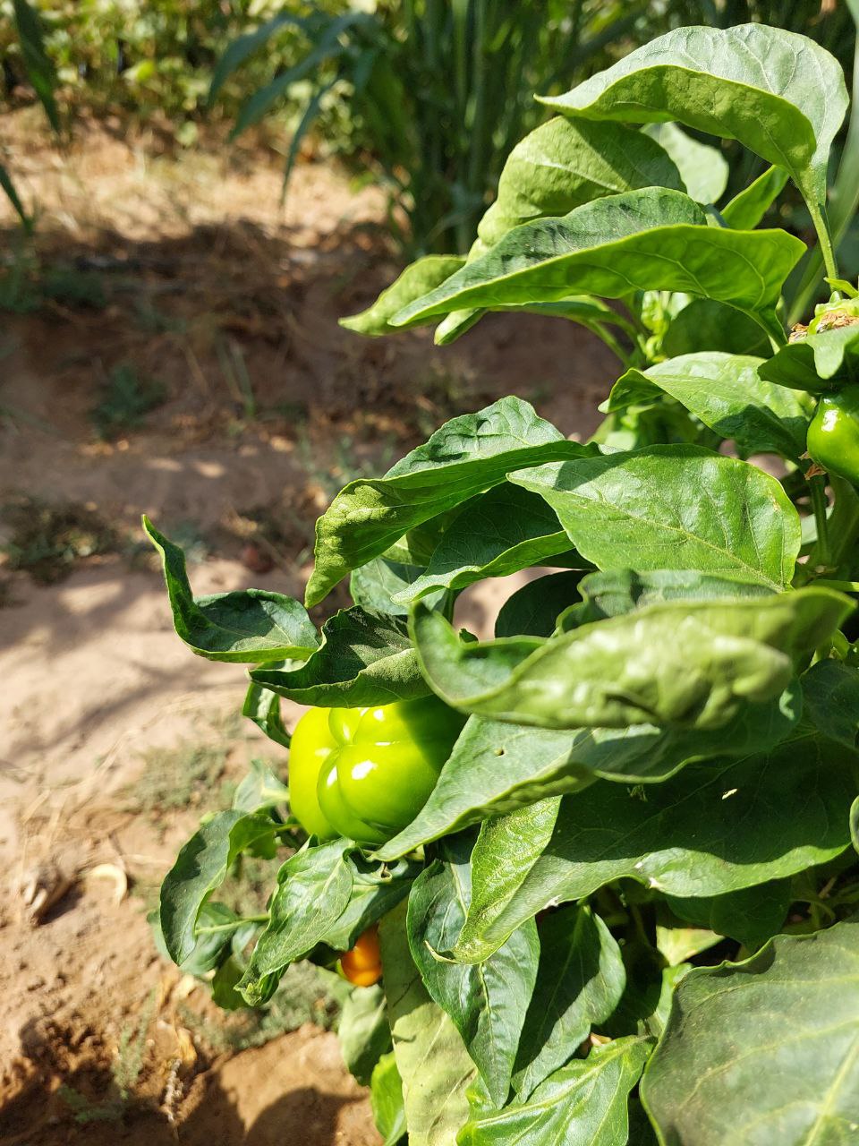 photo_2025-11-06_18-29-50