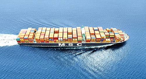 image_2025-01-26_16-25-35 copy