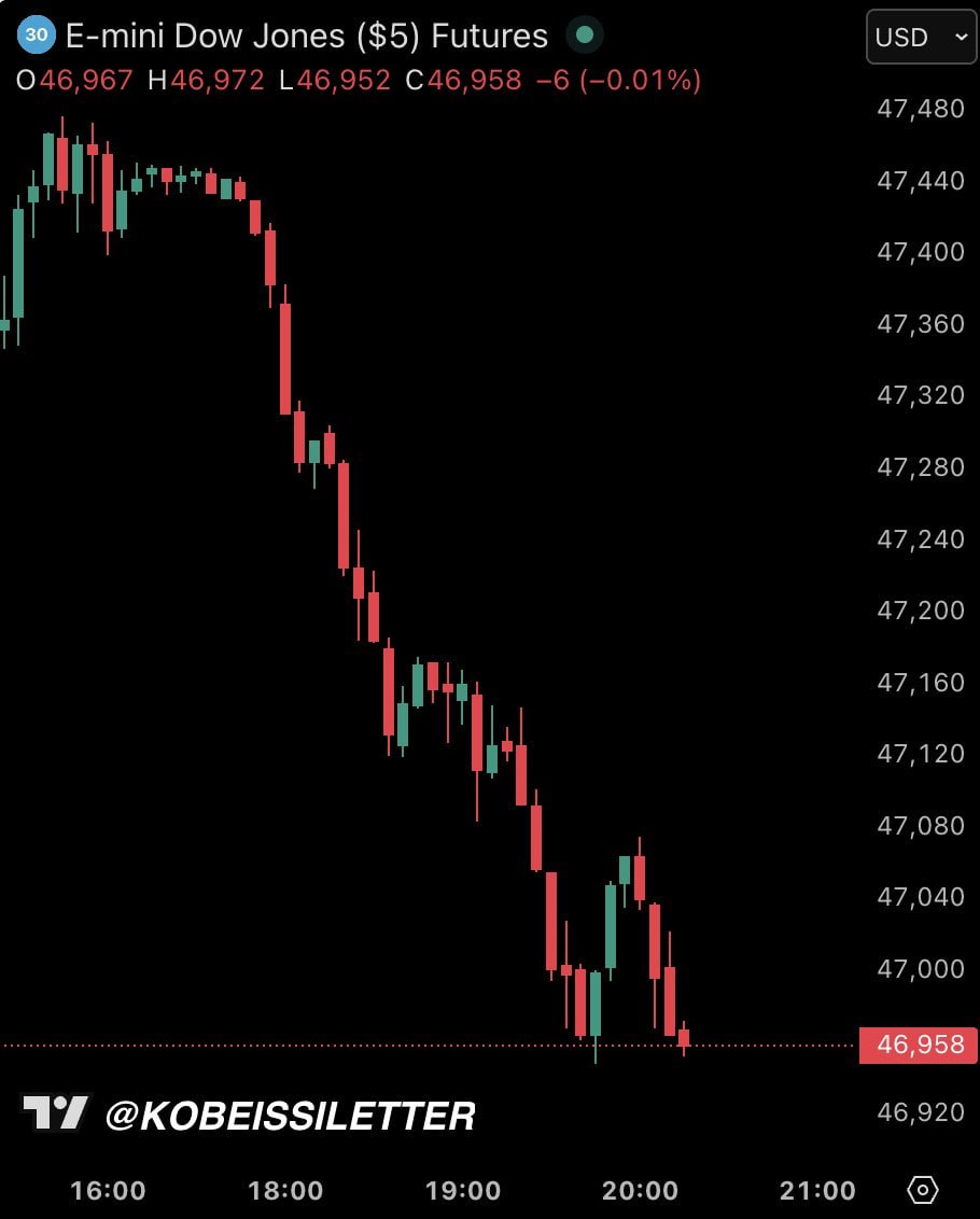 photo_2026-03-12_04-35-44