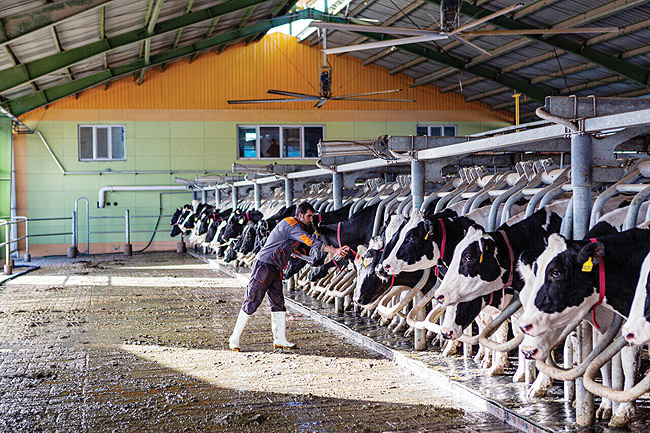 محوری بالا_2 copy