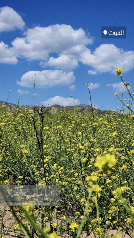 گردشگری