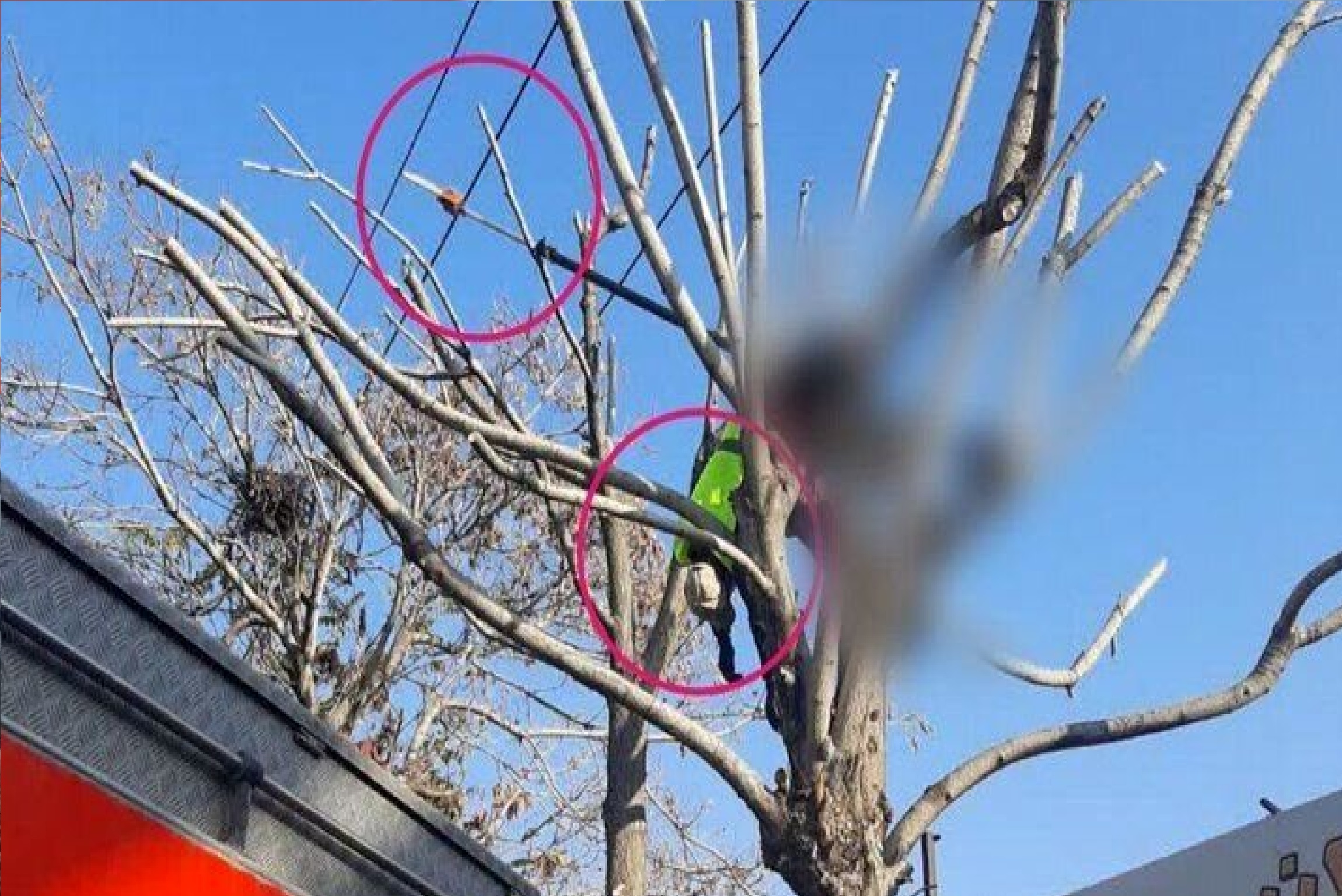 برقگرفتگی جان کارگر شهرداری را در دم گرفت